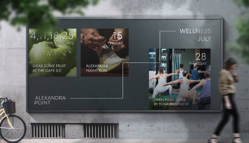 海南藏族VI设计公司如何进行品牌审核